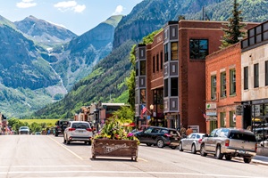 Telluride Business Advisory Services Packages